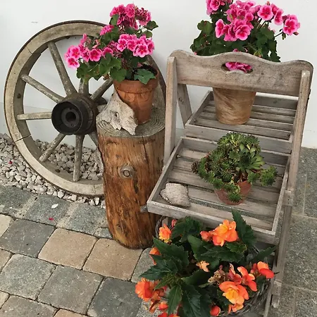 Schusterhof بيت خشبي برغن